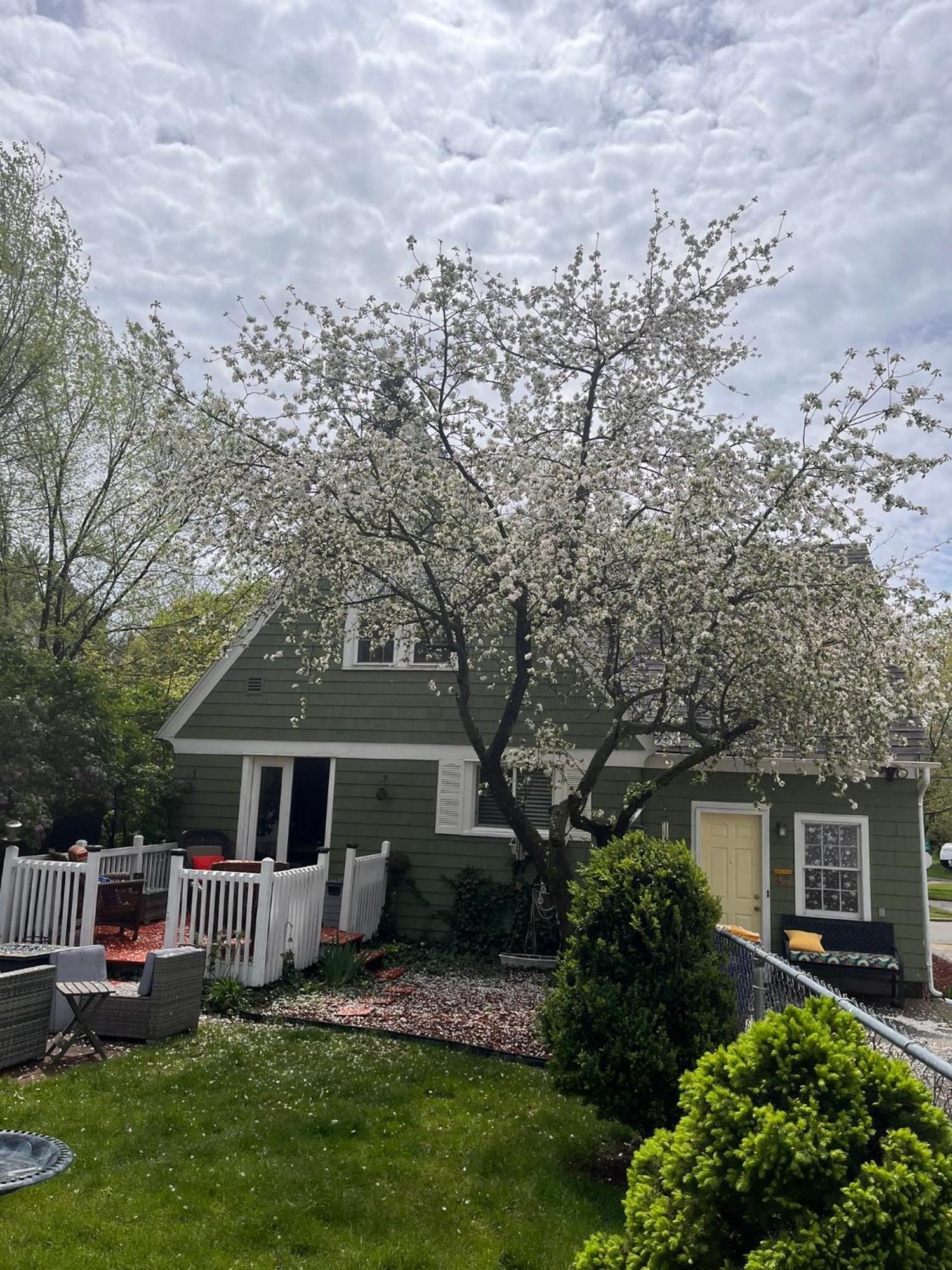 Villa Cozy Cape Cod Grand Rapids